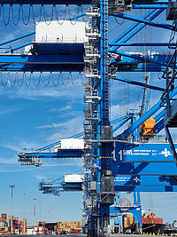 Blaue Containerkräne stehen, umgeben von gestapelten Containern.